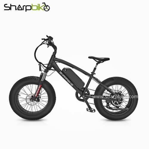 SP20EFB-Y-20-inch-fat-tire-electric-bike